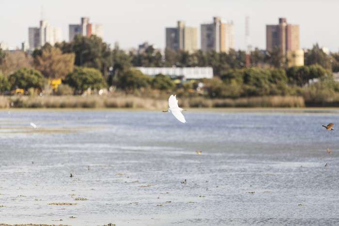 Foto: Buenos Aires Turismo.