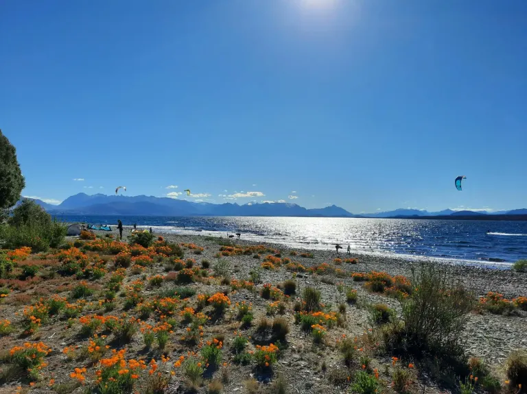 Foto: Patagonia Andina